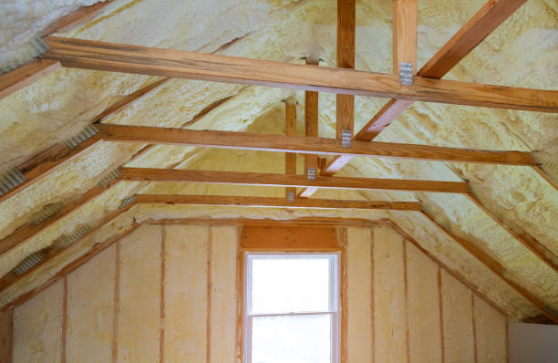 Best Energy Efficiency Insulation in Taylor Creek, FL