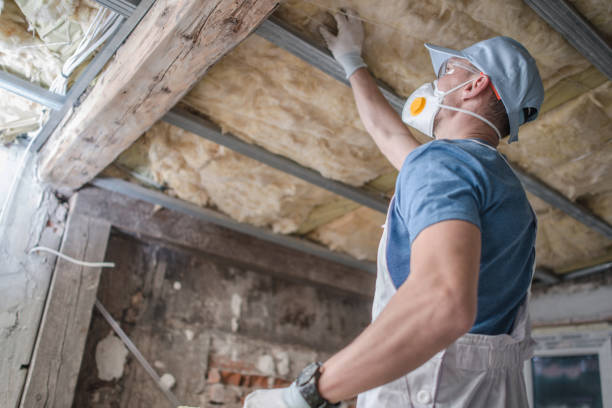 Best Specialized Insulation Services in Taylor Creek, FL