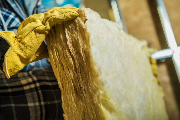 Best Commercial Insulation in Taylor Creek, FL